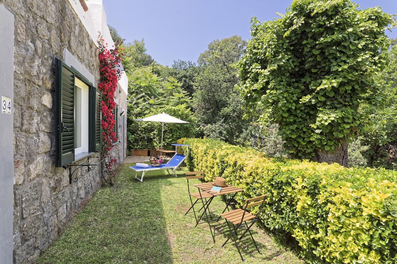 Hotel Oasi Castiglione 4*